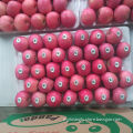 Highland Fresh Fuji Apple